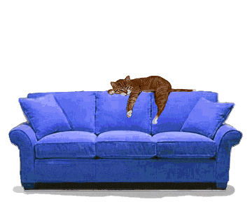 htcouch.gif image by liz672000
