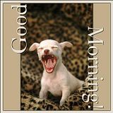 good morning